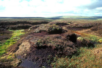 Climate warming could destabilise the carbon stored in northern peatlands