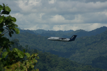 Airborn observations in Borne's Danum Valley, image courtesy of Martin Irwin (University of Manchester)