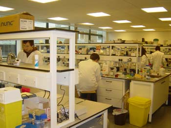 Cancer researchers in the lab at Lancaster University