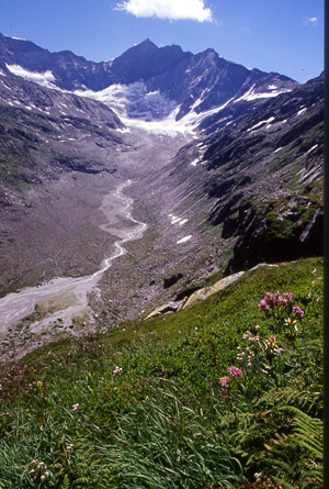 Ödenwinkelkees glacier in the Austrian Alps