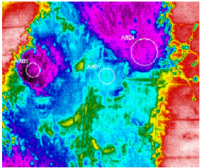 Thermal images revealing hot spots on Lavender crops.