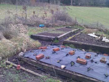 Student volunteers are needed for GreenLancaster's organic garden