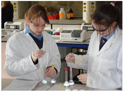 Pupils during National Science and Engineering Week