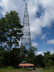 Danum Valley research station 100 metre high tower